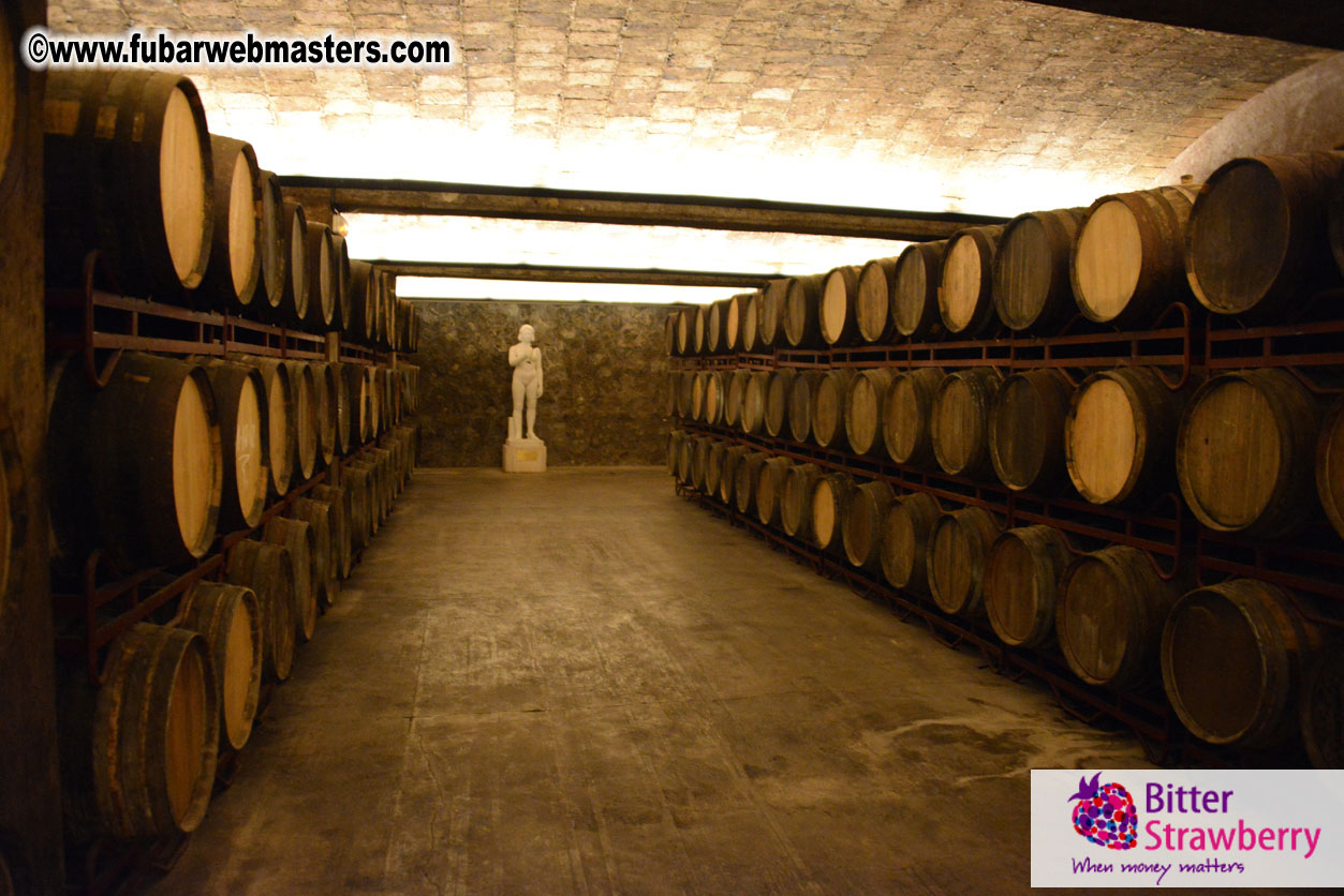 Freixenet Winery private ?á la carte visit