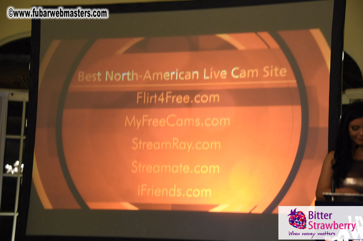 LiveCam Awards Show