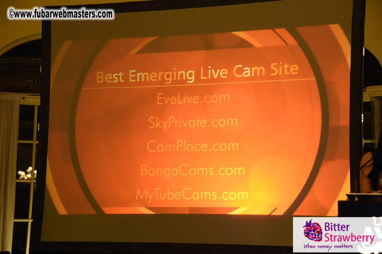 LiveCam Awards Show