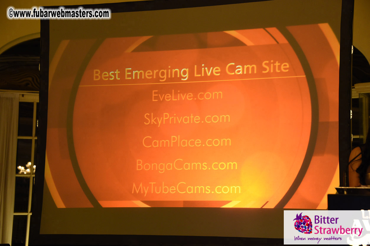 LiveCam Awards Show