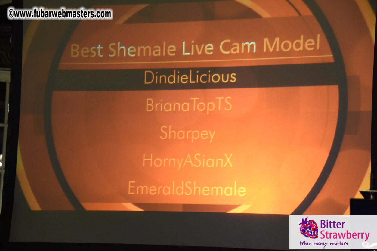 LiveCam Awards Show