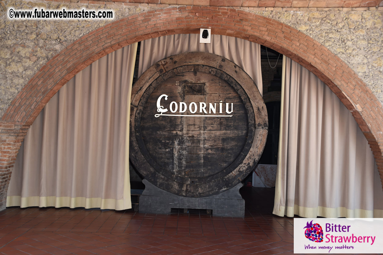 Cavas Codorniu private a la carte visit