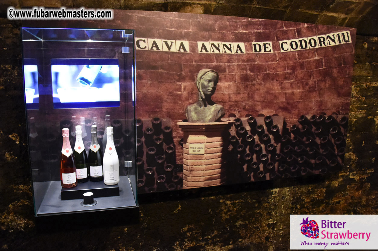 Cavas Codorniu private a la carte visit