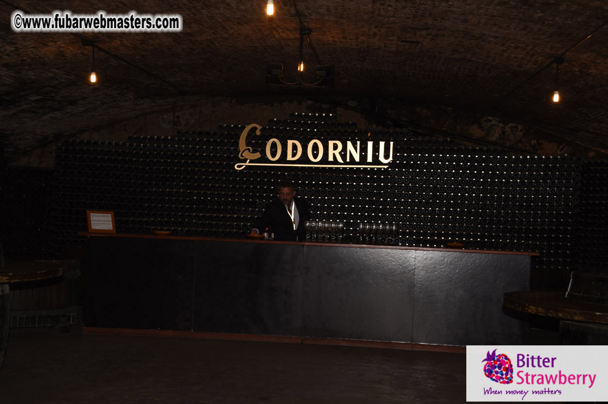 Cavas Codorniu private a la carte visit