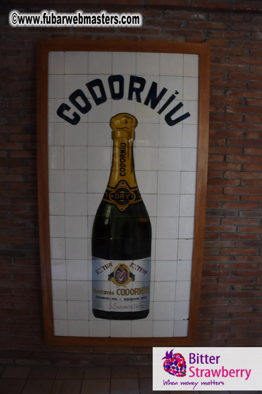 Cavas Codorniu private a la carte visit