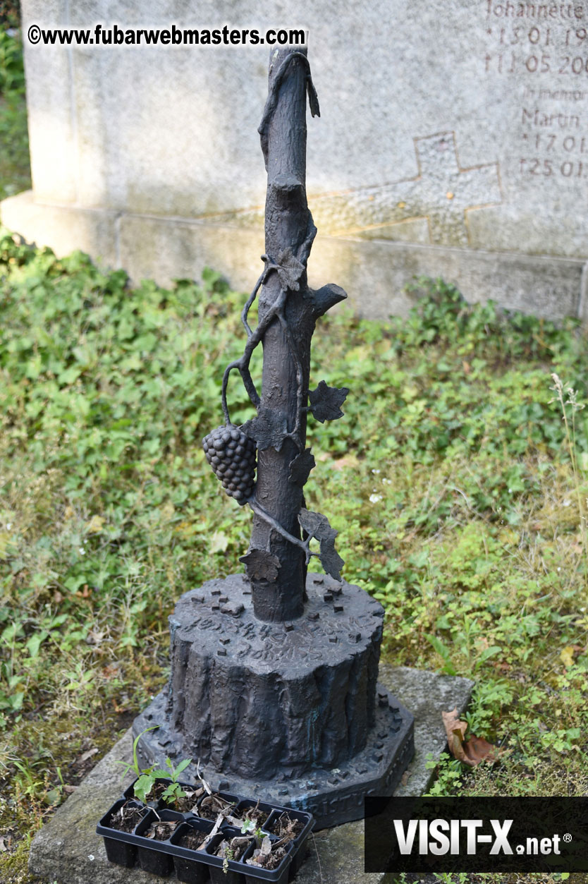 French Reformed Church Graveyard