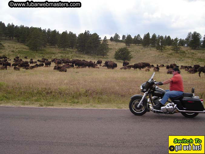 Baddog's trip to Sturgis