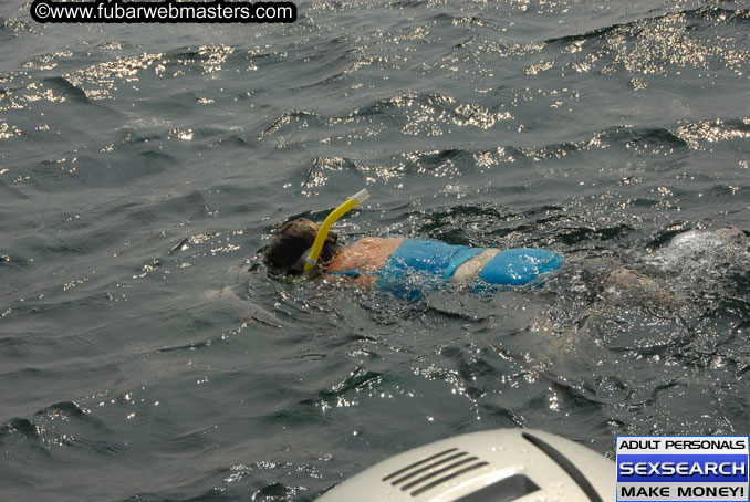 Speedboat Island Hopping