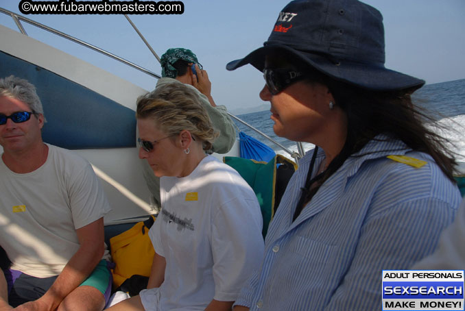 Speedboat Island Hopping