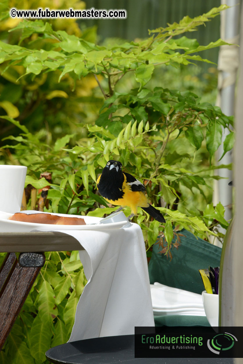 The Island Gathering Day 2