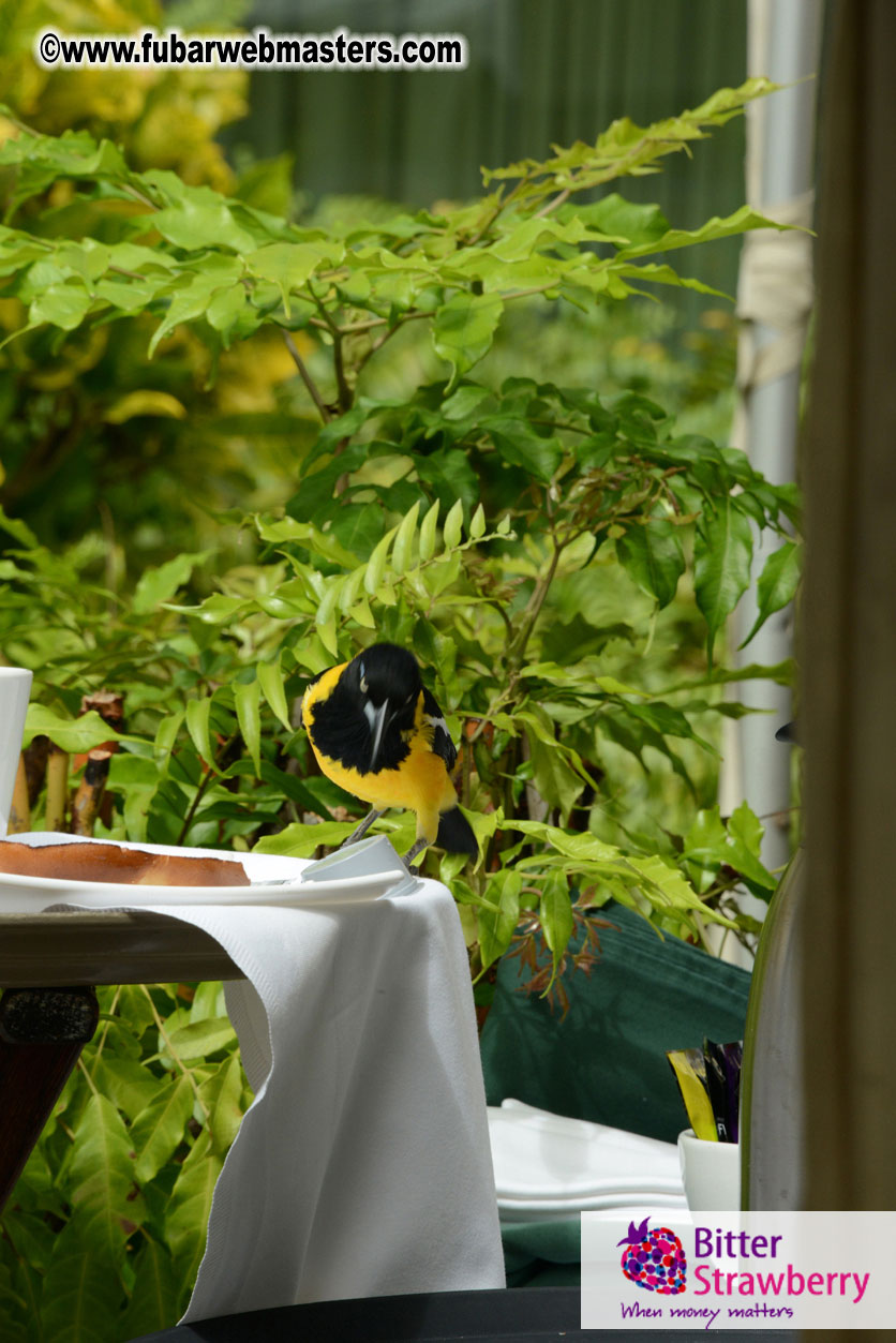 The Island Gathering Day 2