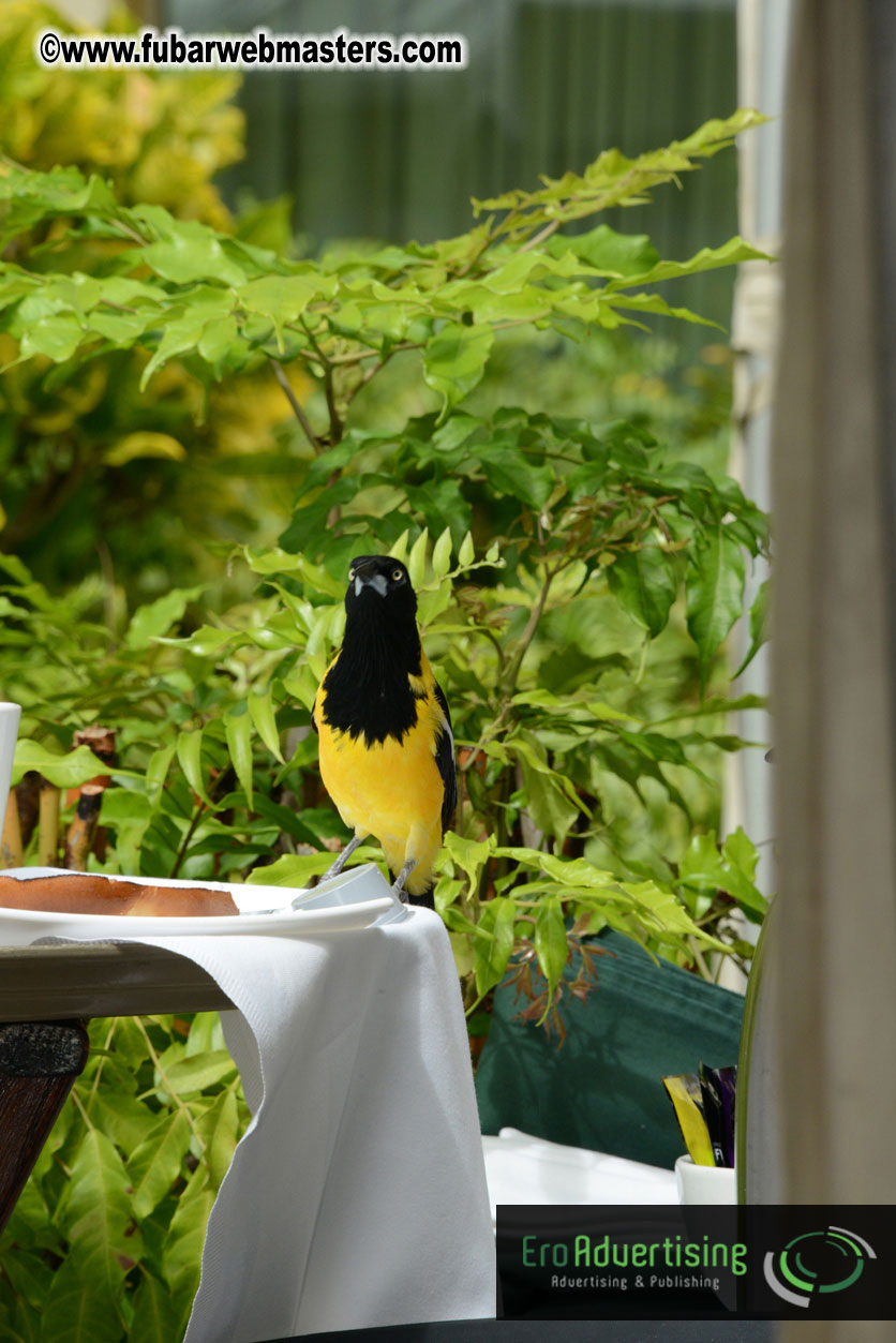 The Island Gathering Day 2