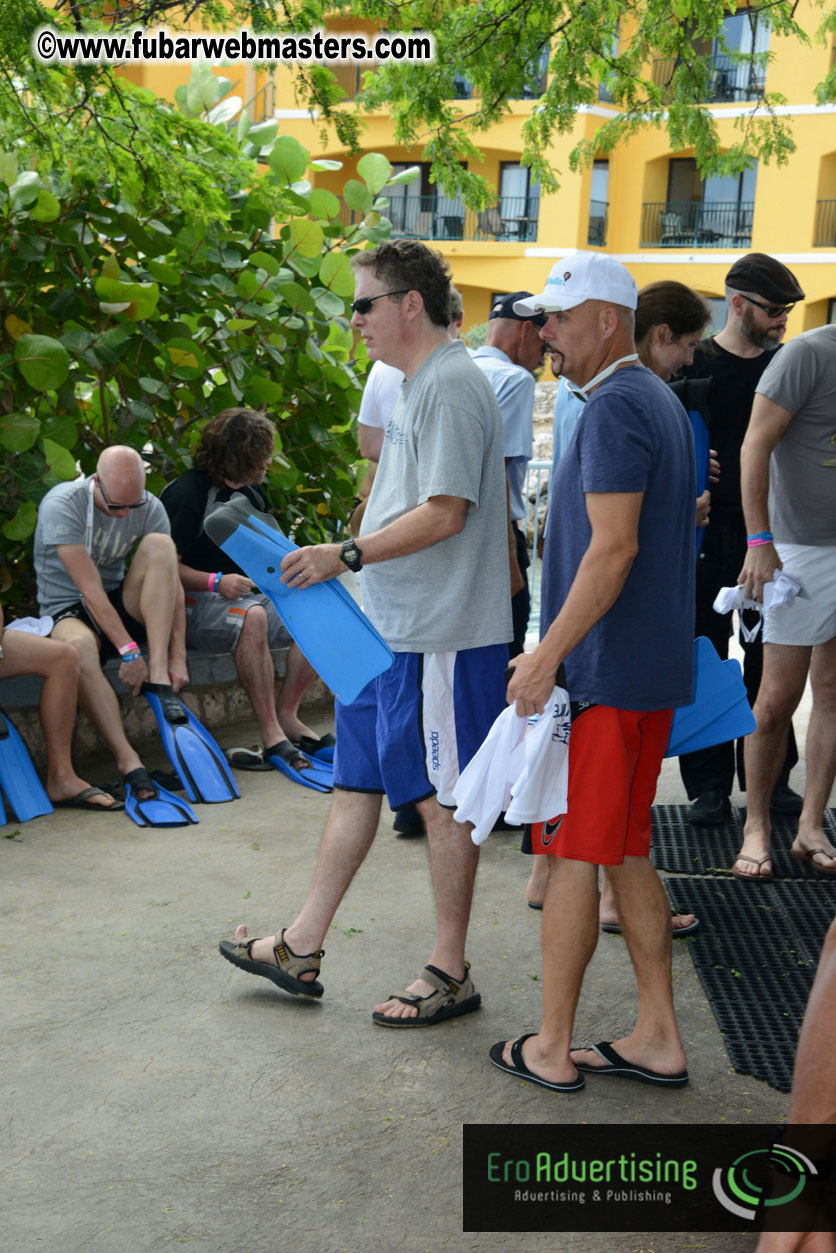 WireCard Dolphin Swim