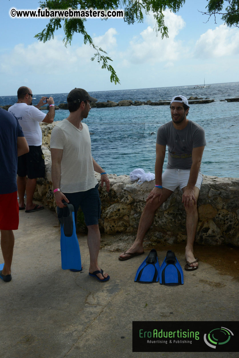 WireCard Dolphin Swim