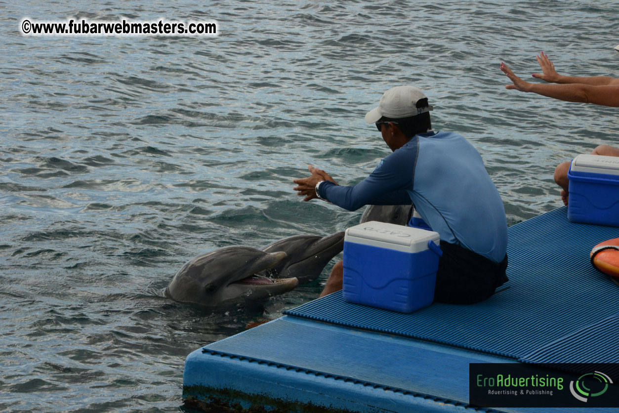 WireCard Dolphin Swim