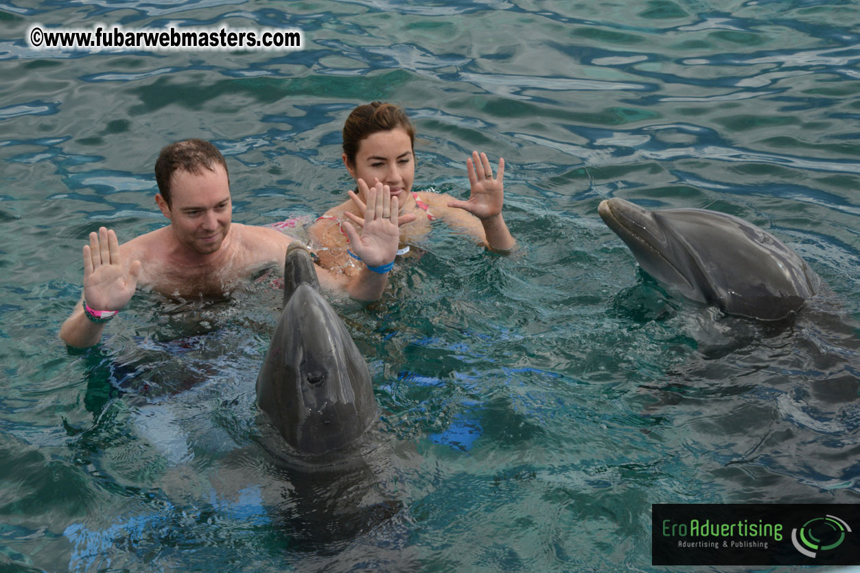 WireCard Dolphin Swim