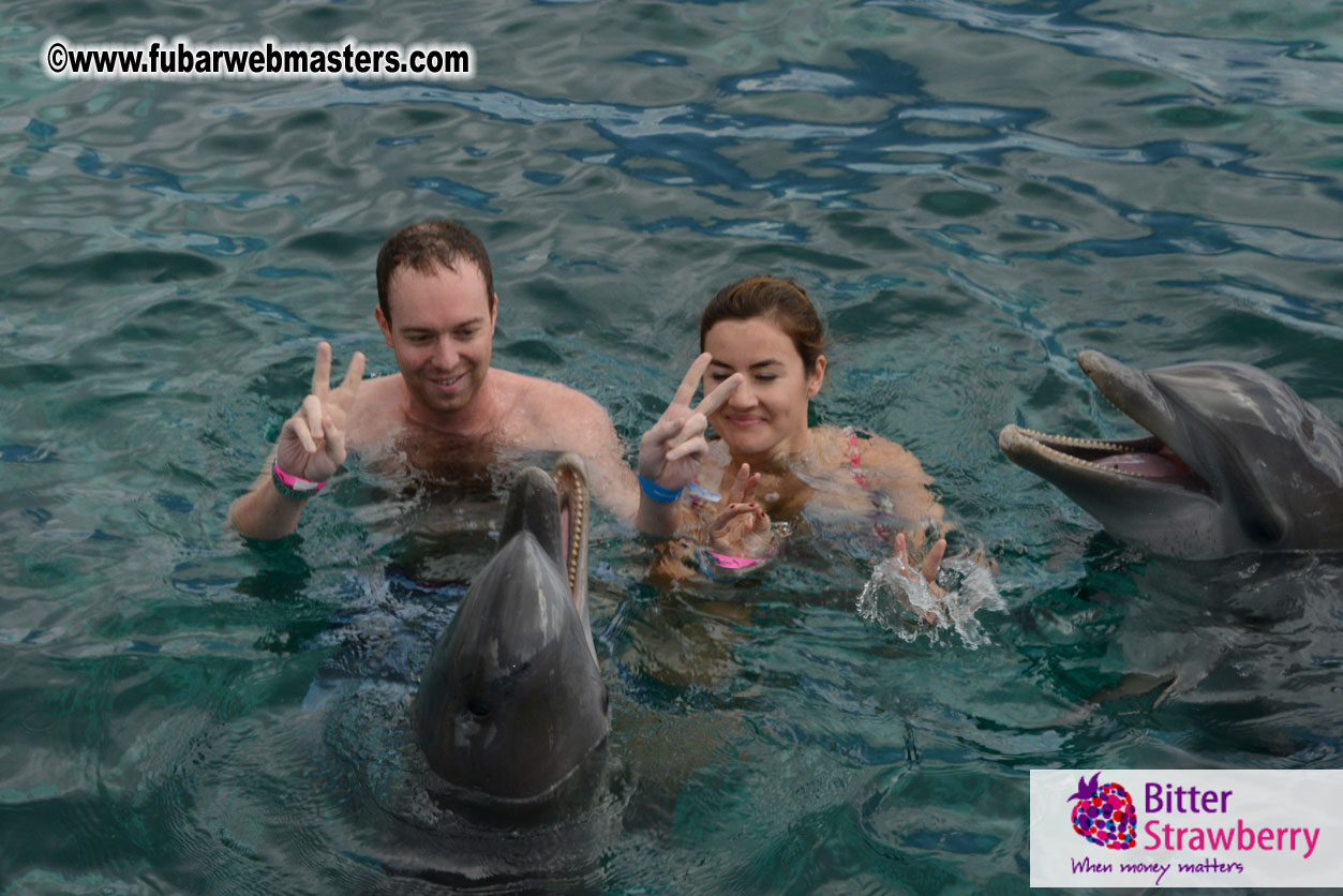 WireCard Dolphin Swim