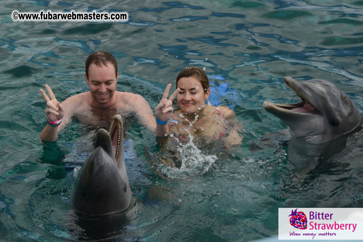 WireCard Dolphin Swim