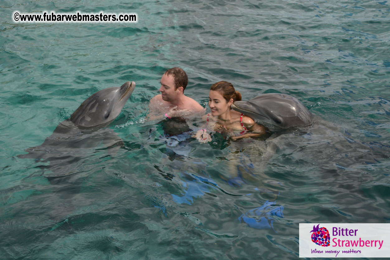 WireCard Dolphin Swim