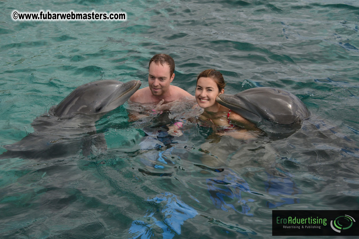 WireCard Dolphin Swim