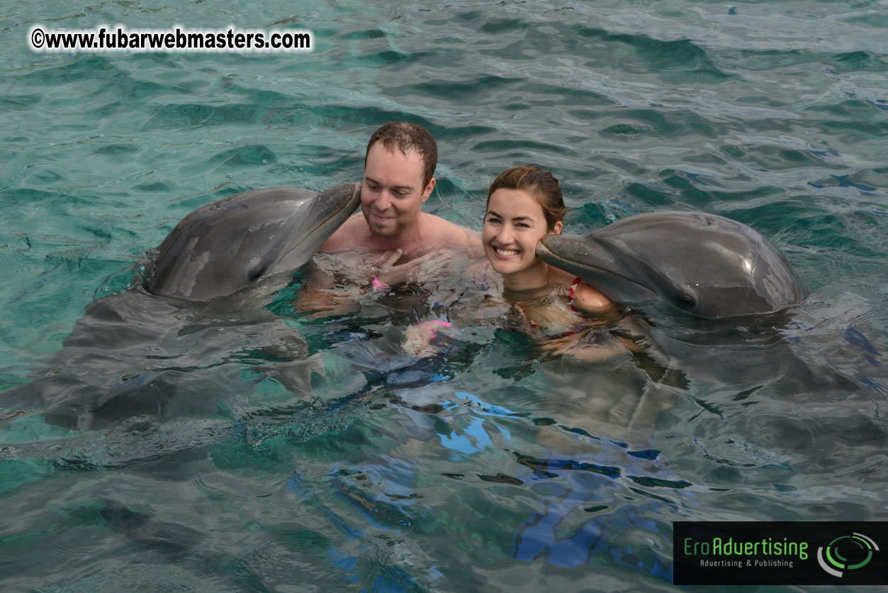 WireCard Dolphin Swim