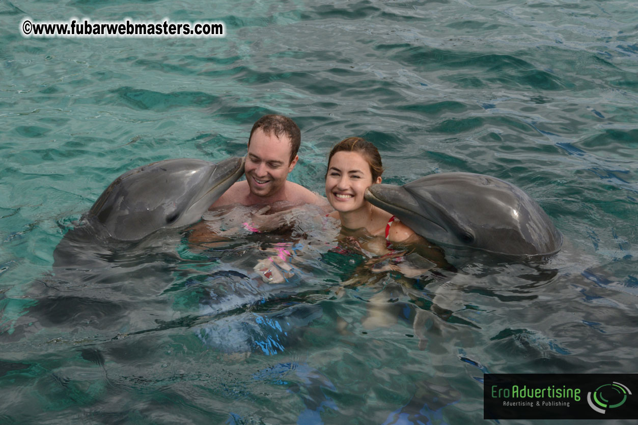 WireCard Dolphin Swim