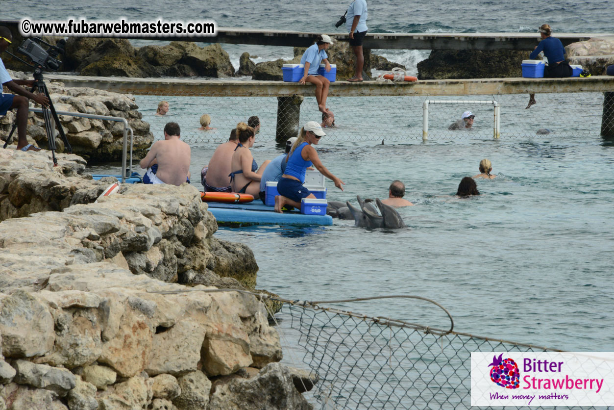 WireCard Dolphin Swim