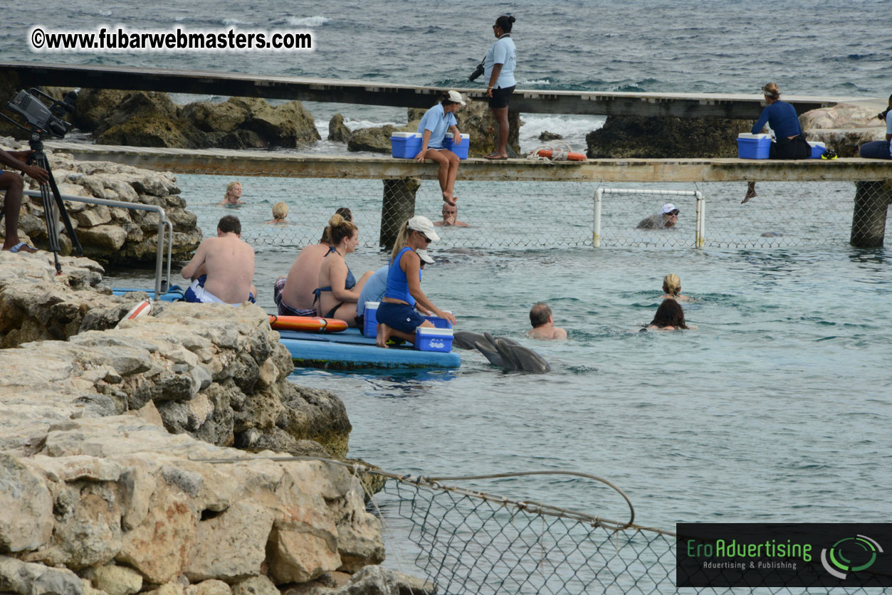 WireCard Dolphin Swim