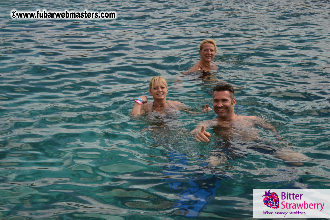 WireCard Dolphin Swim