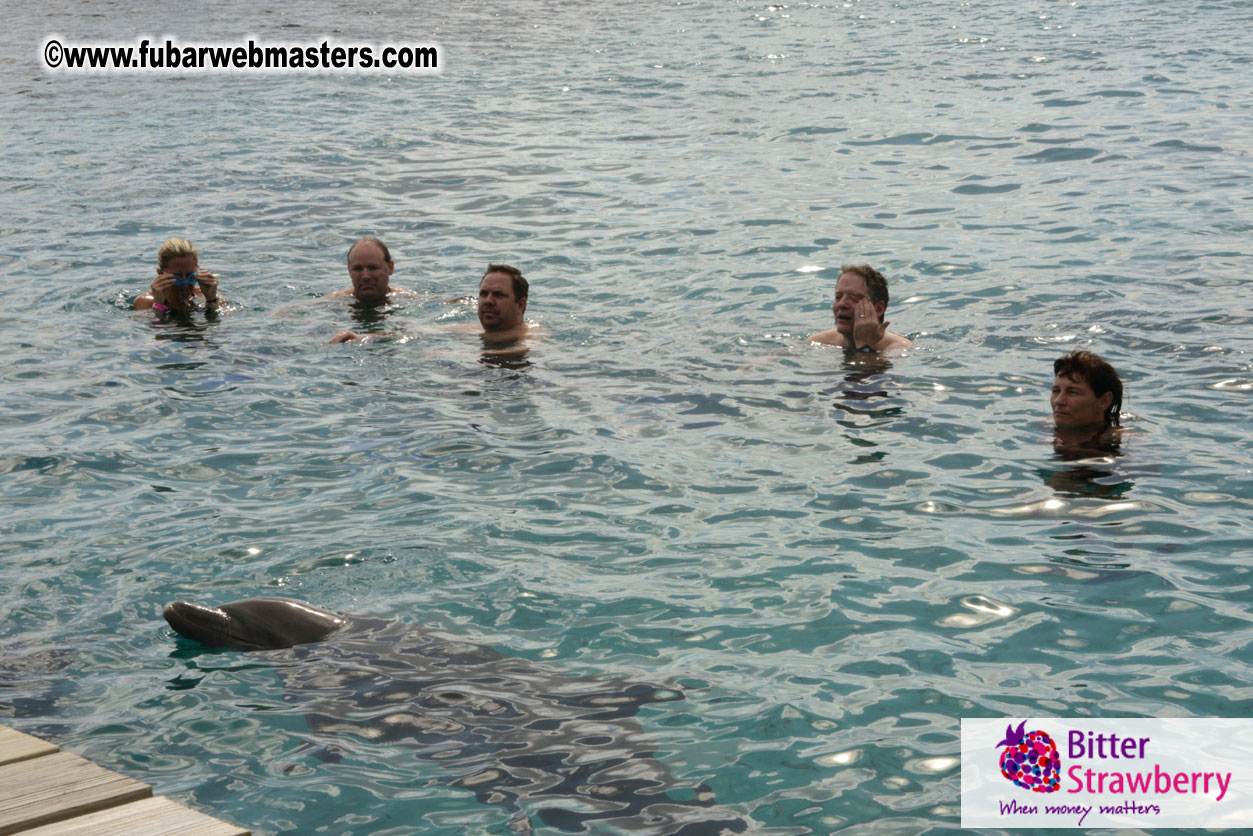 WireCard Dolphin Swim