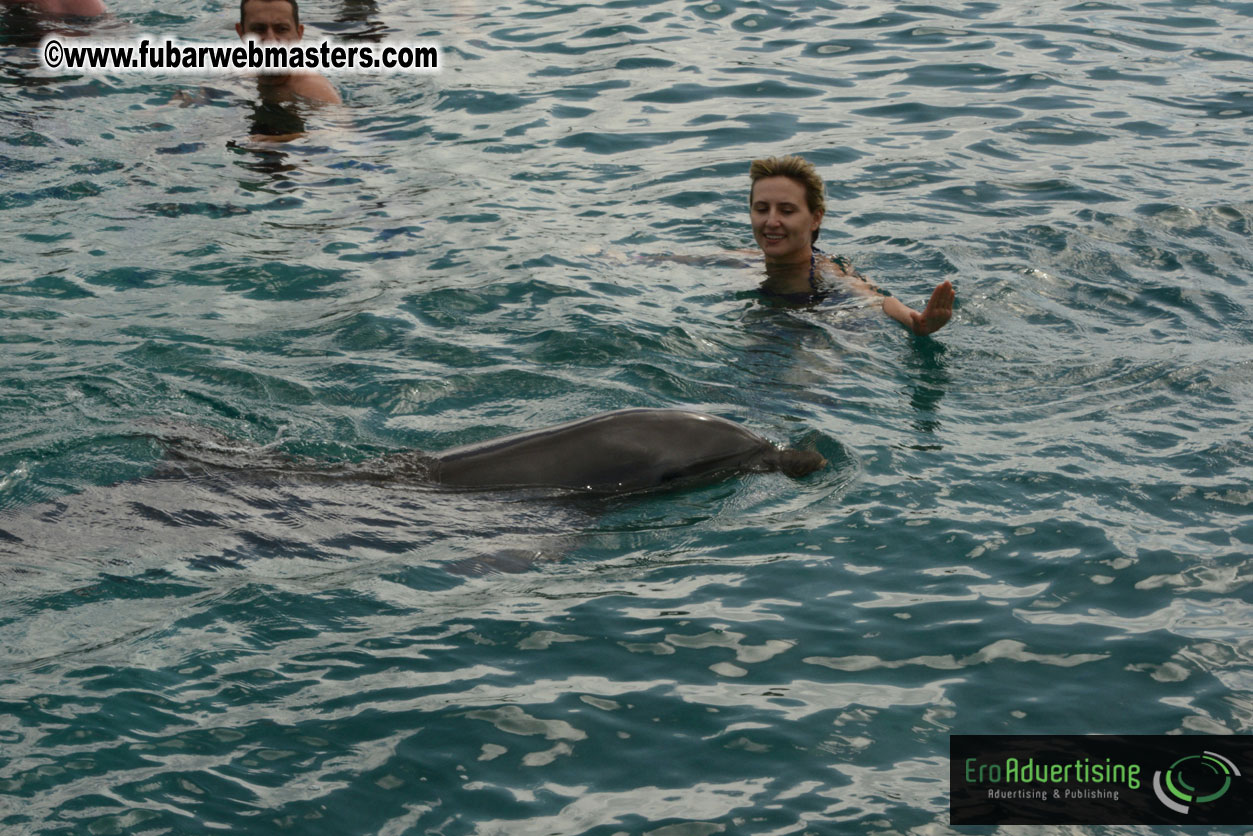 WireCard Dolphin Swim