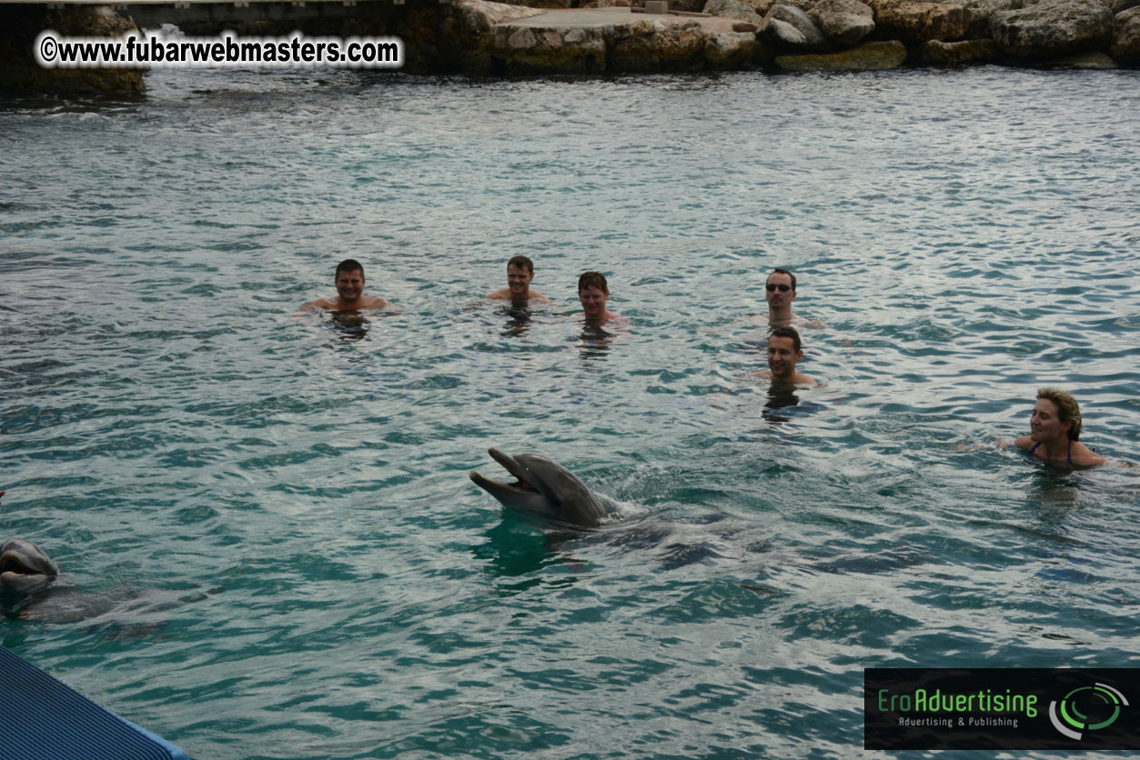 WireCard Dolphin Swim