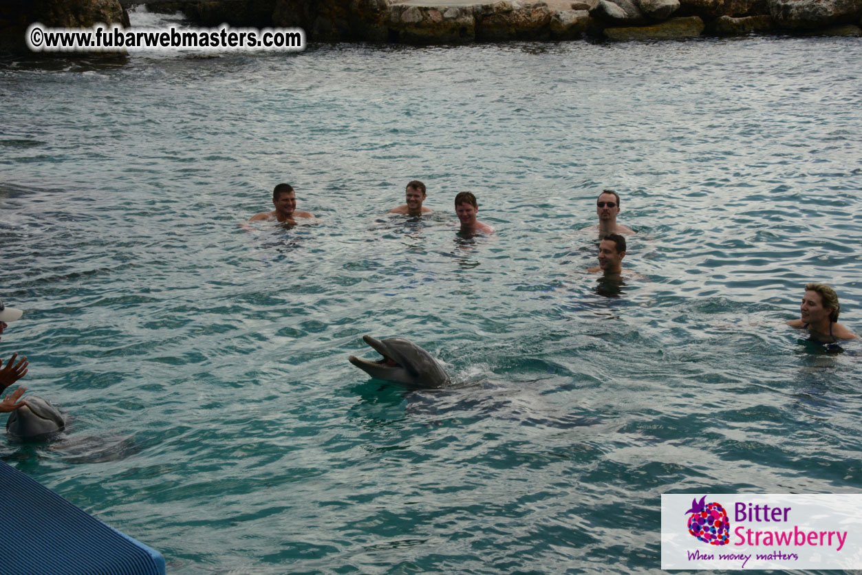 WireCard Dolphin Swim