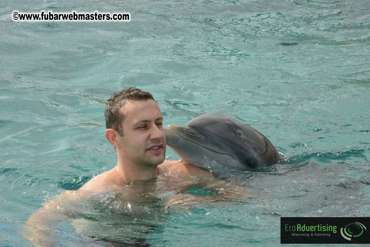 WireCard Dolphin Swim