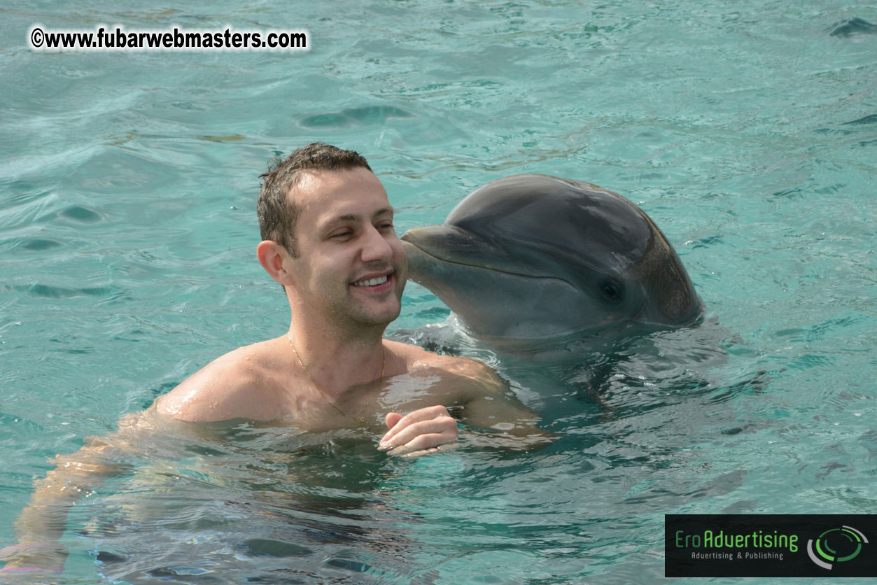 WireCard Dolphin Swim