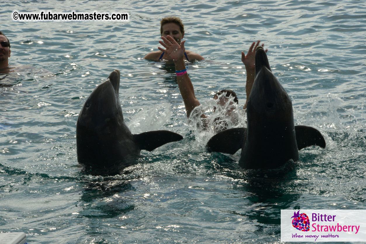 WireCard Dolphin Swim