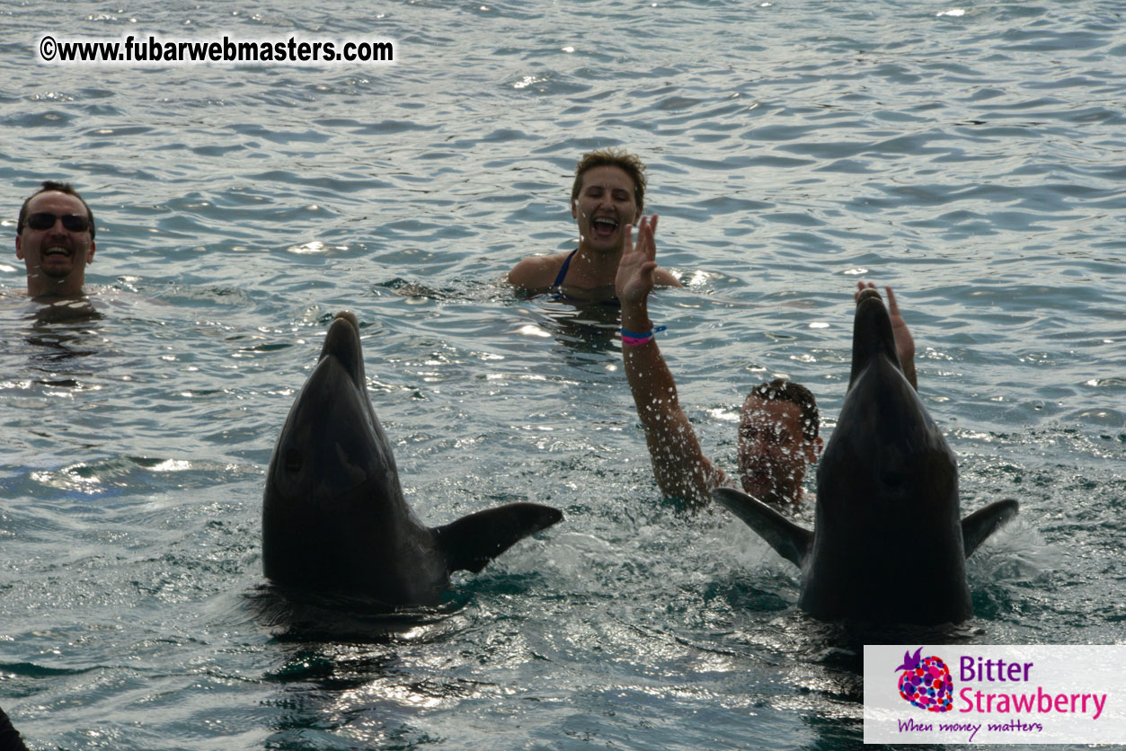 WireCard Dolphin Swim