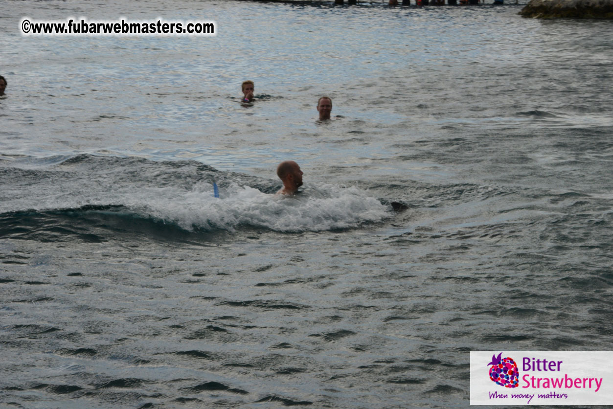 WireCard Dolphin Swim