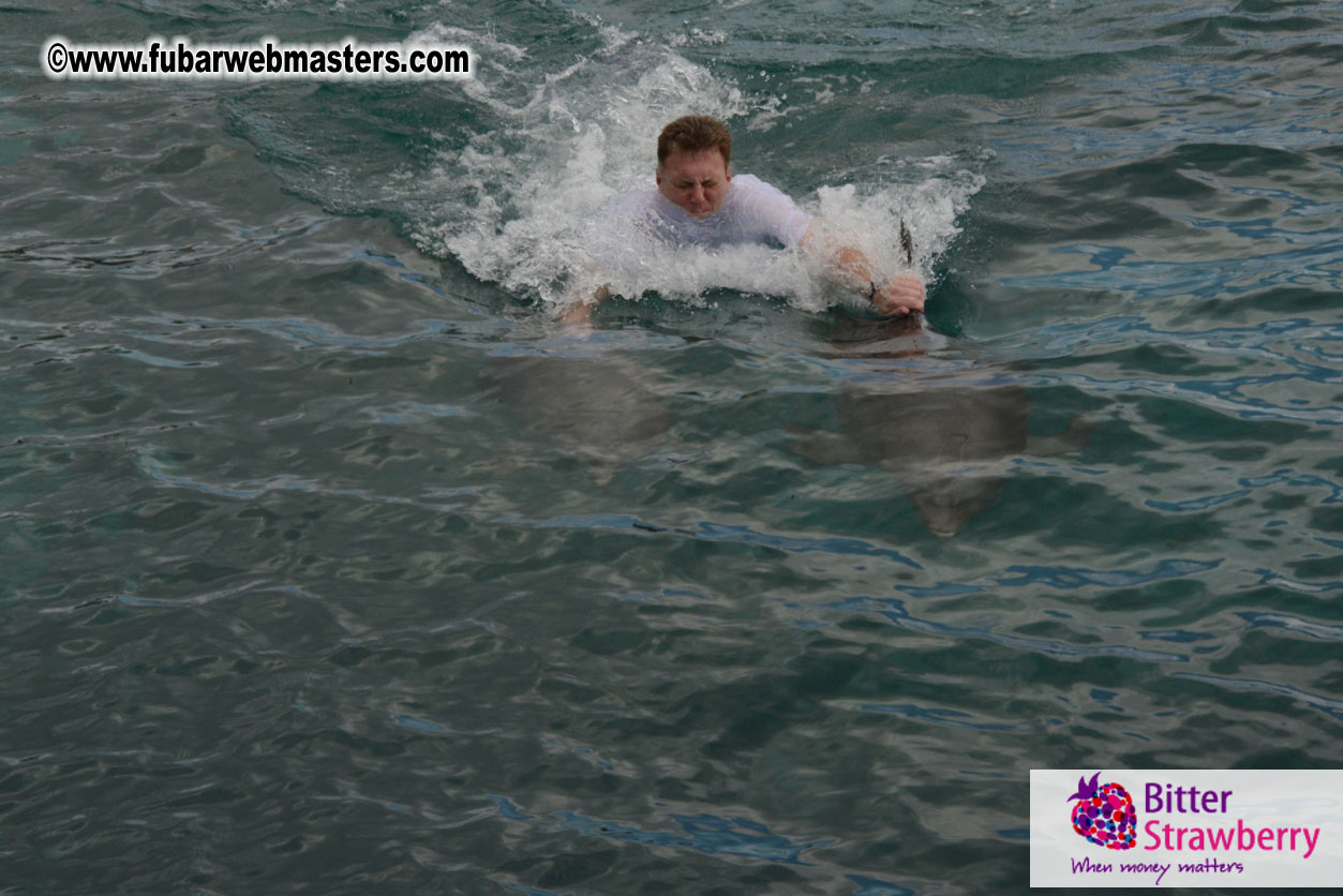 WireCard Dolphin Swim