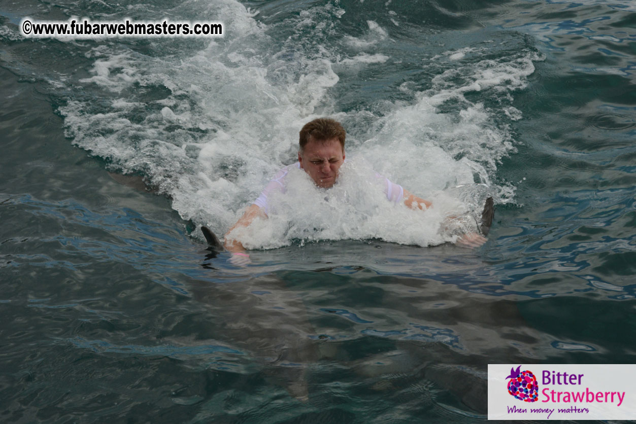 WireCard Dolphin Swim