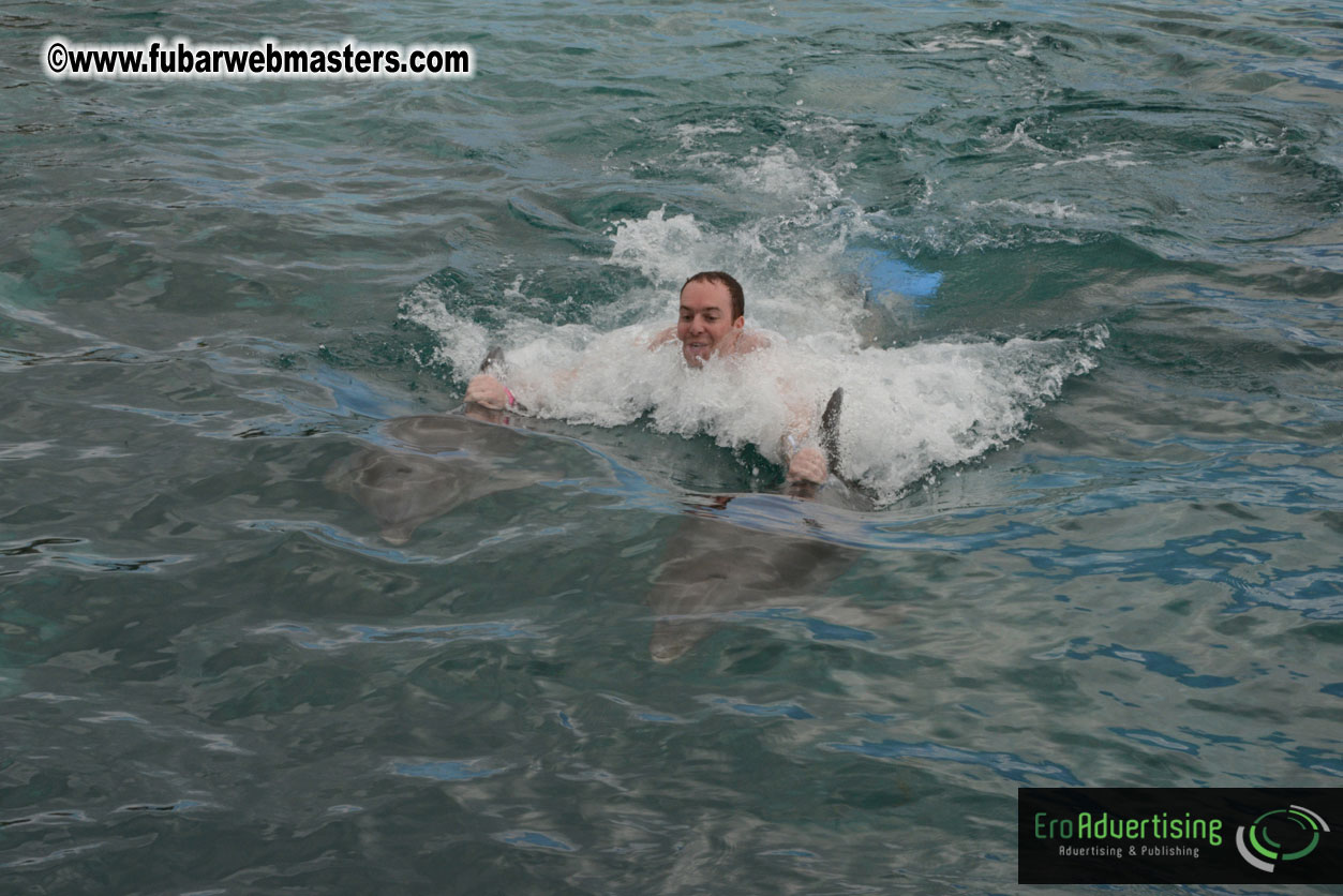 WireCard Dolphin Swim