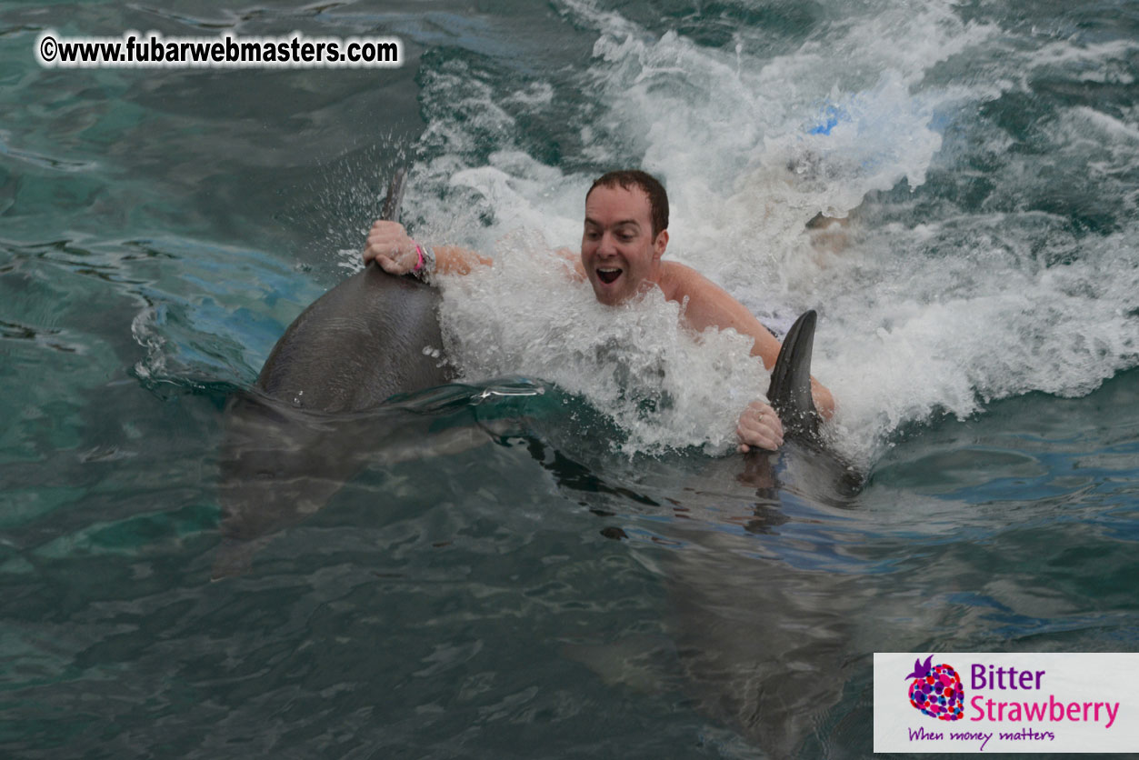 WireCard Dolphin Swim