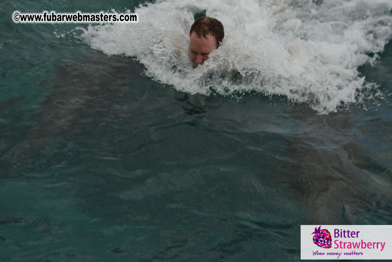 WireCard Dolphin Swim