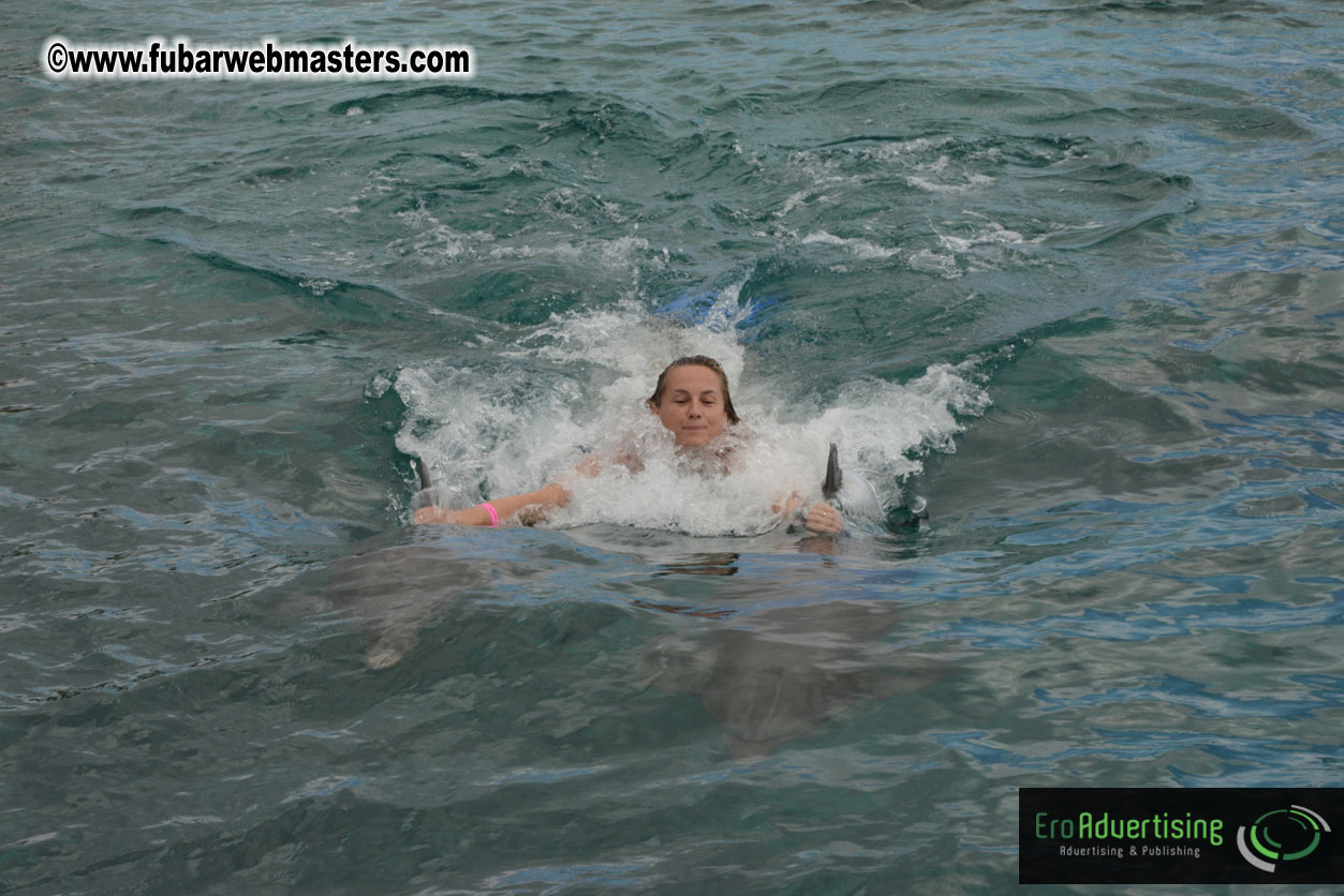 WireCard Dolphin Swim