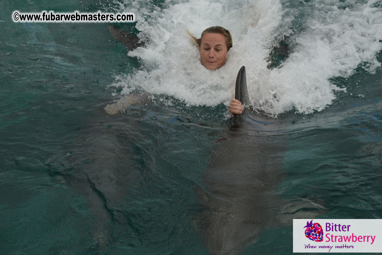 WireCard Dolphin Swim