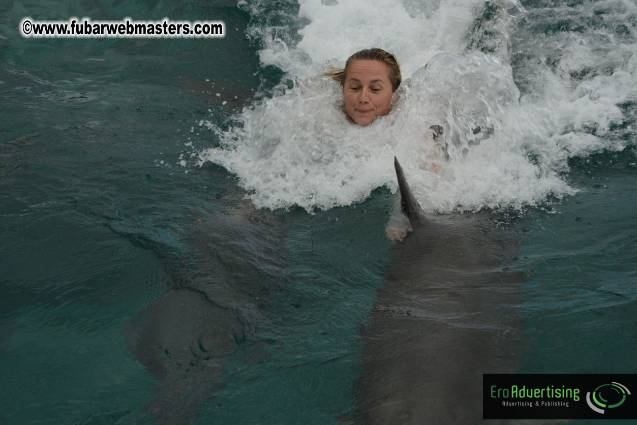 WireCard Dolphin Swim