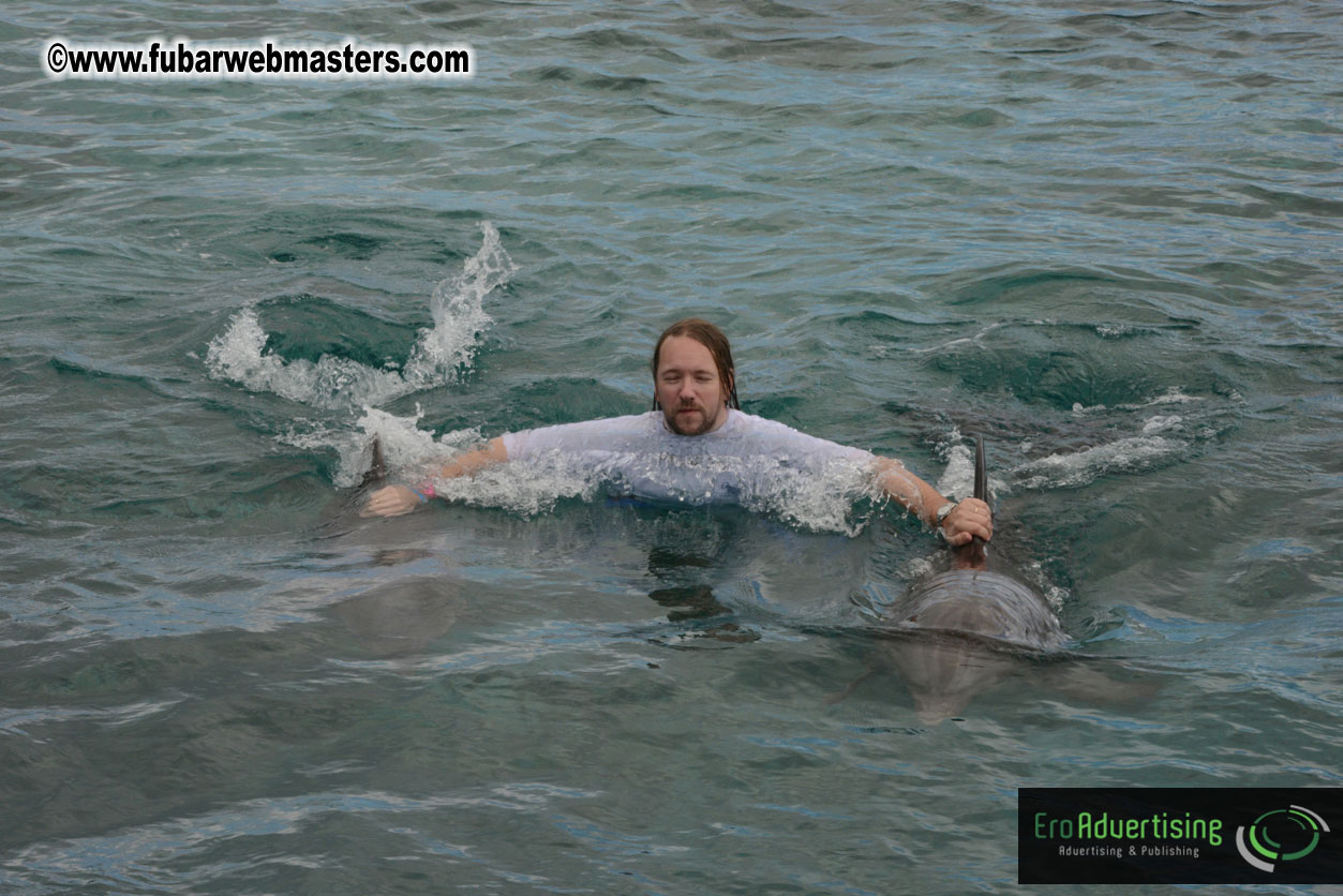 WireCard Dolphin Swim