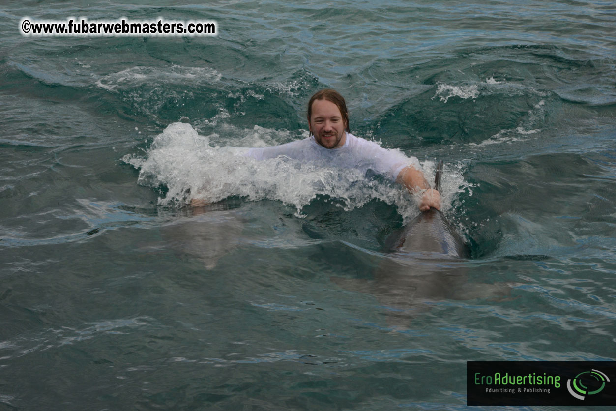 WireCard Dolphin Swim