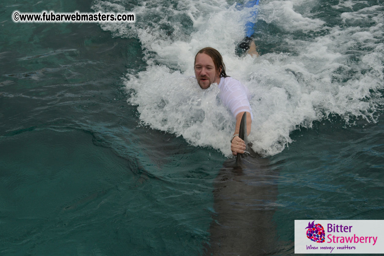 WireCard Dolphin Swim