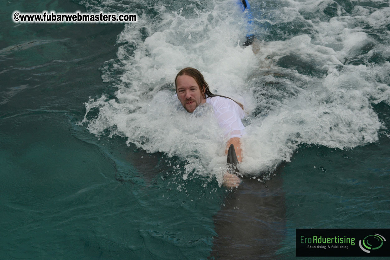 WireCard Dolphin Swim